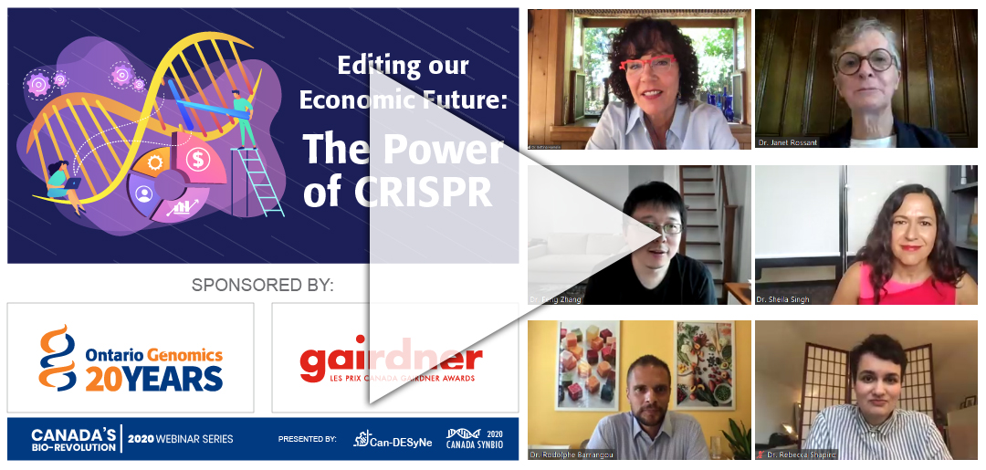 Editing our Economic Future: The Power of CRISPR